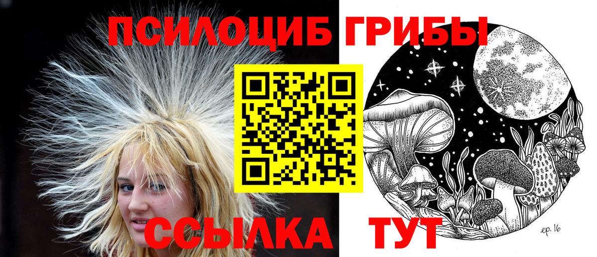 Ишим  Псилоцибиновые грибы Psilocybe  Псилоцибиновые грибы GOLDEN TEACHER  Вход с VPN 