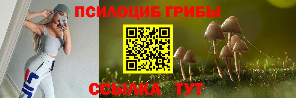 Псилоцибиновые грибы MAGIC MUSHROOMS Ишим